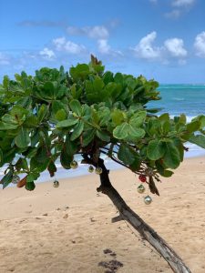 How to Do Bucket-List Travel Responsibly (Without Being Insufferable About It)